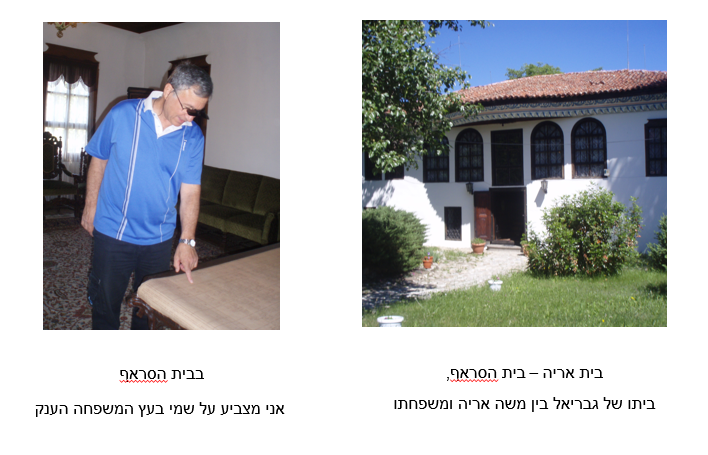 בבית הסראף – אני מצביע על שמי בעץ המשפחה הענק