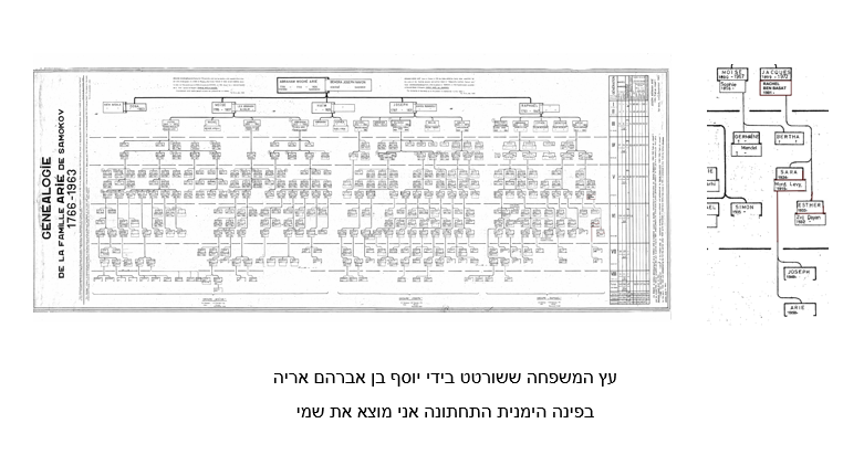 עץ המשפחה ששורטט בידי יוסף בן אברהם אריה – בפינה הימנית התחתונה אני מוצא את שמי